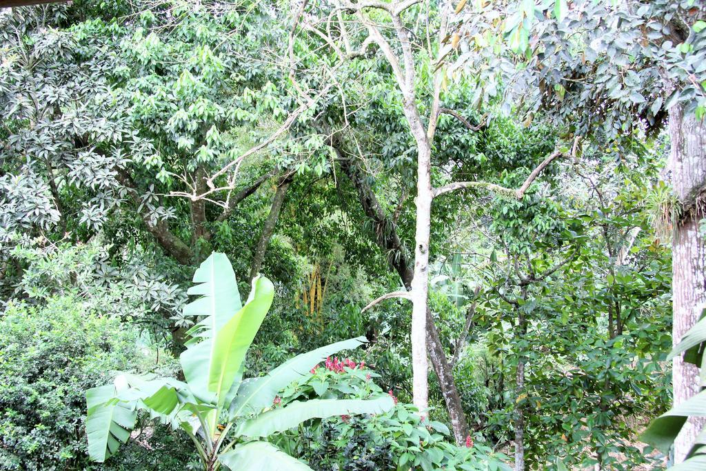 Hotel Monte Real La Fortuna Exteriör bild